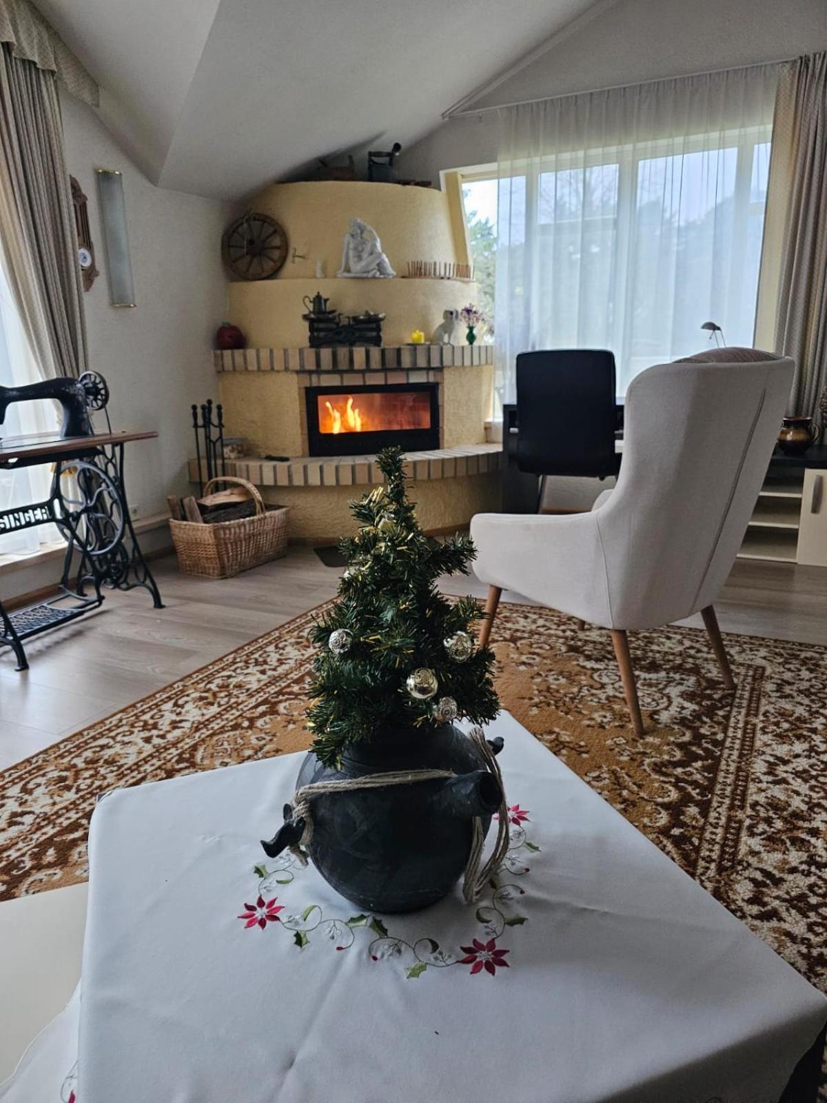 Villa Leonardo Ventspils Buitenkant foto